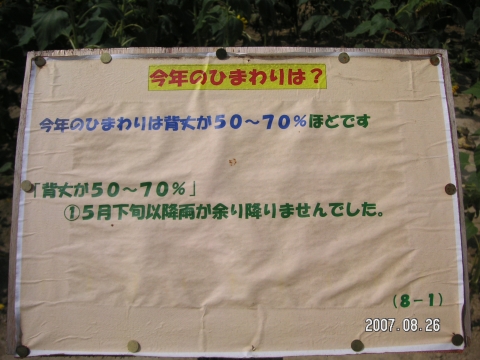 s_PICT0050.jpg
